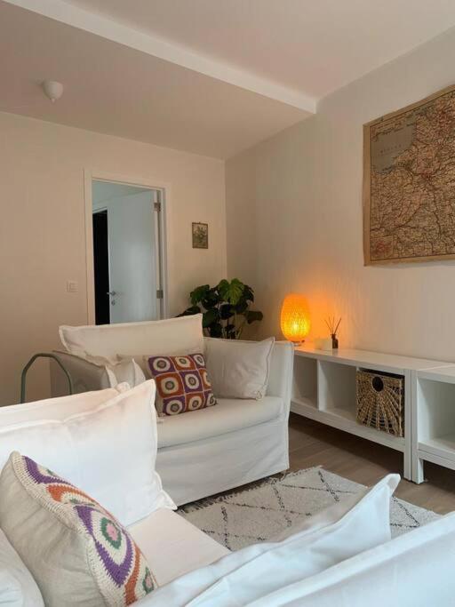 Cozy Studio In Centre Of Old Town Antwerpen Eksteriør billede